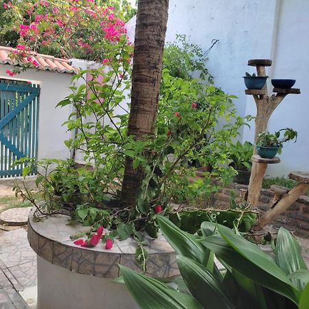 Residencial Dos Freitas Διαμέρισμα Jijoca de Jericoacoara Εξωτερικό φωτογραφία